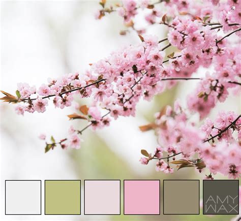 Spring Inspired Color Palette