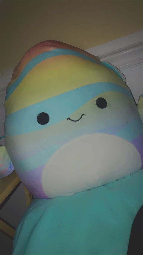 Squishmallow Conclusion and Final Thoughts