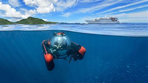 Submarine Cruise Ship Experiences Marine Life