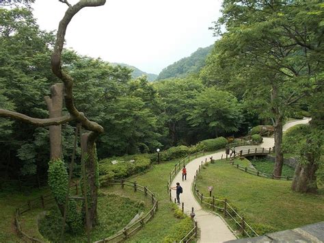 Summer in Gwangju