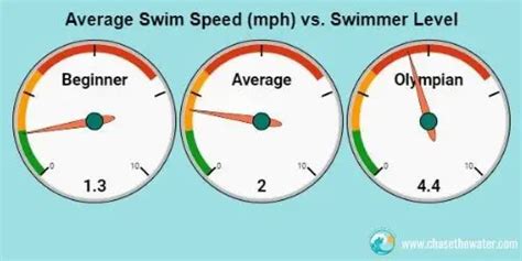 D&D 5e Swim Speed Rules