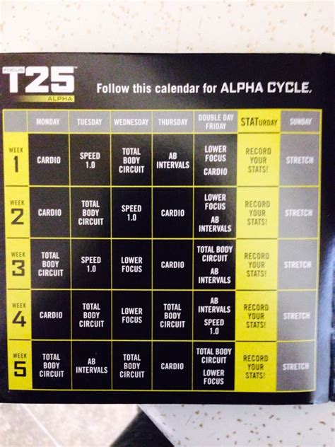 T25 Alpha Workout Image 8