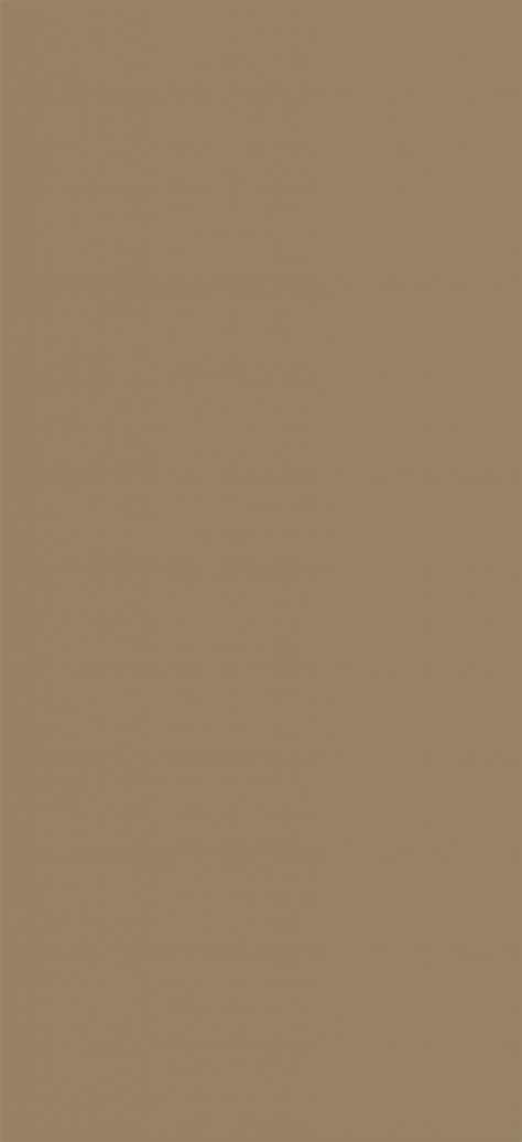 Taupe - A Cool, Grey-Brown Shade