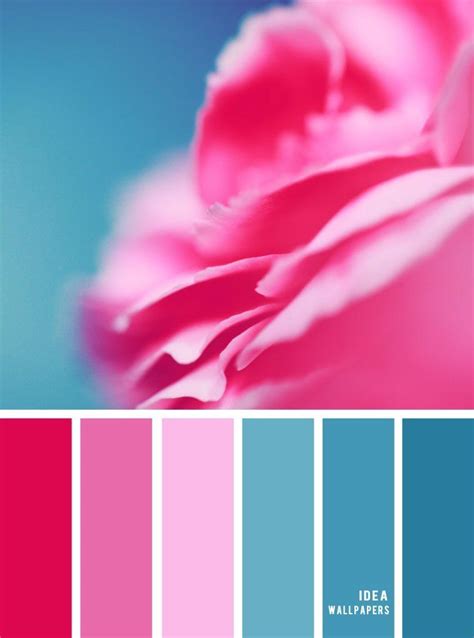 Teal and Pink Color Schemes