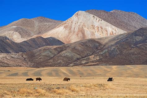 Tibetan Plateau