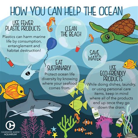 Tide Tip 4: Respect the Marine Life