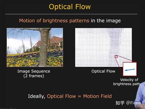 Tips and Tricks for Mastering the Optical Flow Palette