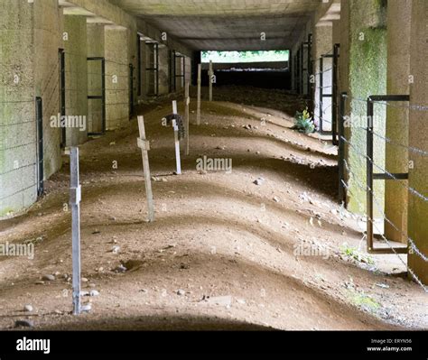 A photo of the Trench of the Bayonets