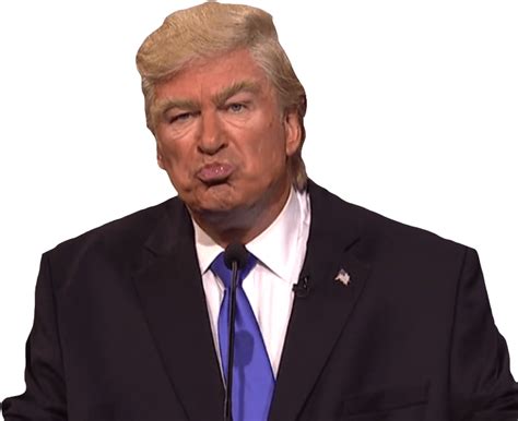 Image of Trump pouting