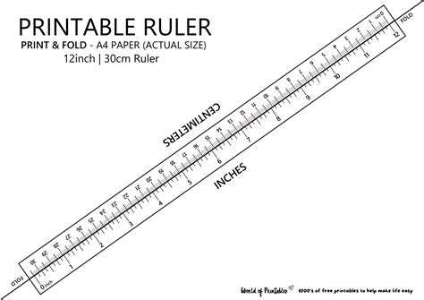 Types of Free Printable Cm Rulers