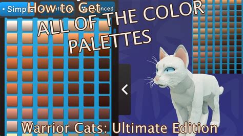 Tips for Using the Ultimate 5 Key Palette Master Edition