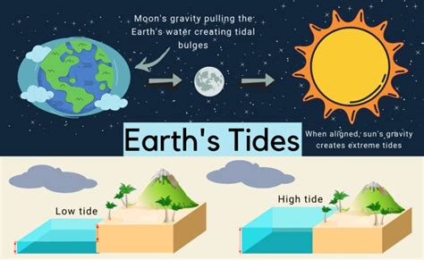 Understanding the Tides