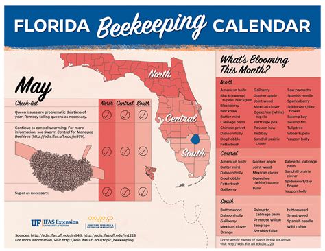 Understanding the UF Calendar