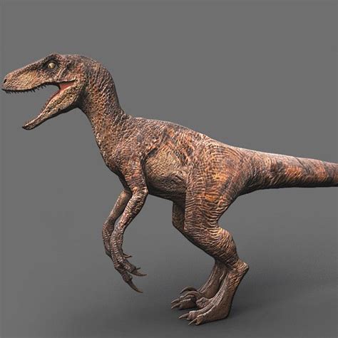 Velociraptor Model 10