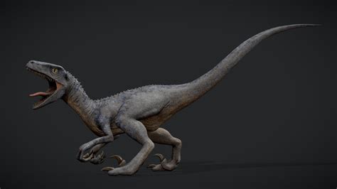 Velociraptor Model 6