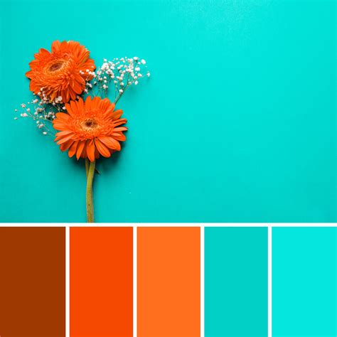 Vibrant Teal Orange Color Palette Inspiration