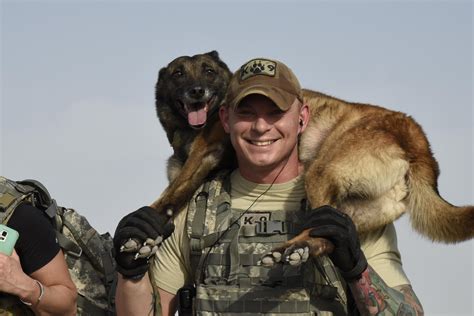 War Dogs Handler Teamwork Image 6