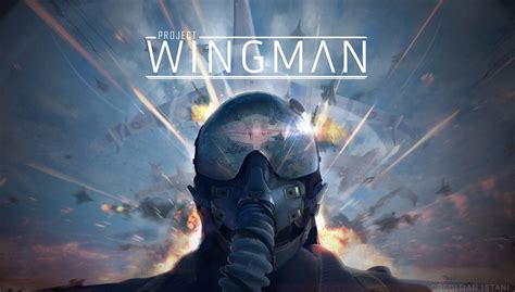 Wingman 2 Case Designs