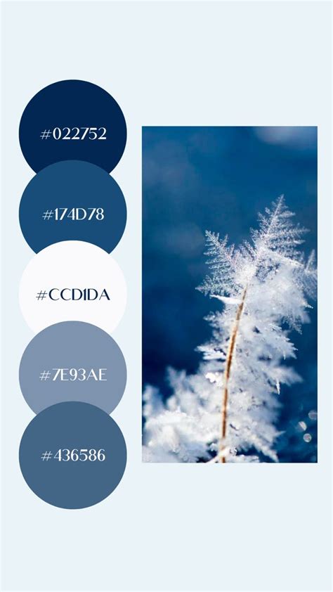 January Winter Blues Color Palette