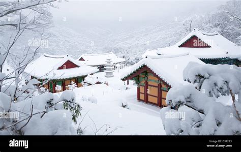 Winter in Gwangju