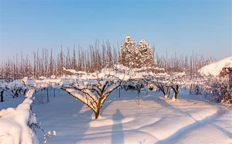 Winter Snow in Gwangju