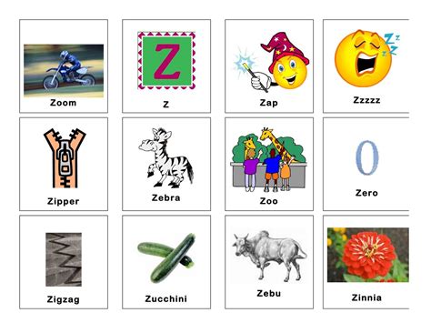 Image of Z words gallery