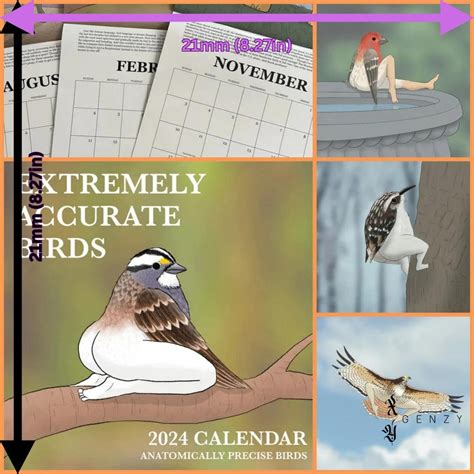 Accurate Bird Calendars Image