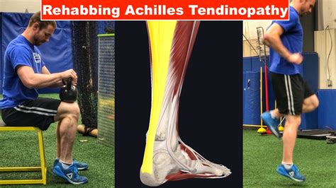 Achilles Tendon Training