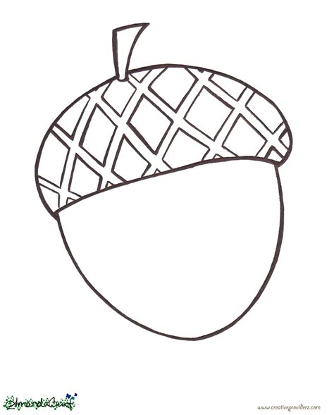 Acorn Coloring Pages