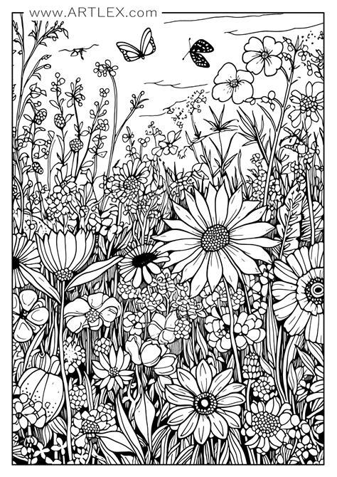 Adult coloring page difficulty levels