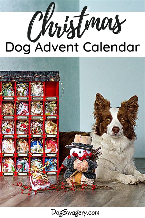 Advent Calendars for Dogs