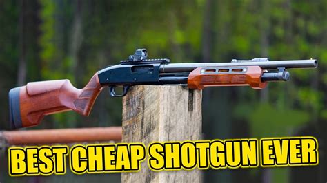 Affordable Shotgun for Various Shooting Applications