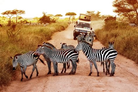 Africa travel programs