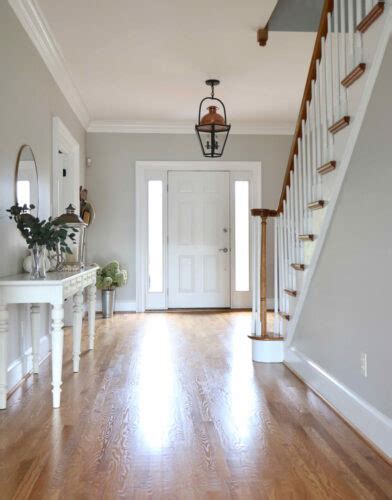 Agreeable Gray Entryway