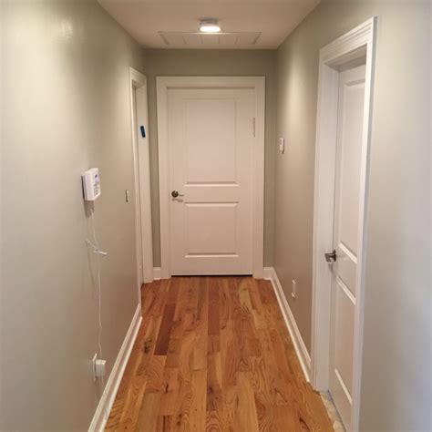 Agreeable Gray Hallway