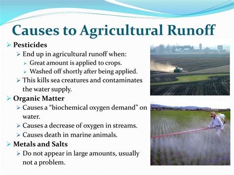 Agricultural runoff polluting the Jordan Valley Creek