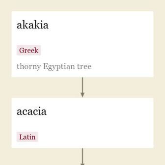 Etymology and the Ak Combination