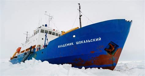 Akademik Shokalskiy