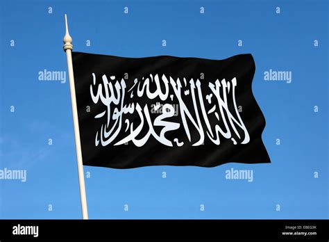 Al Qaeda flag image 3