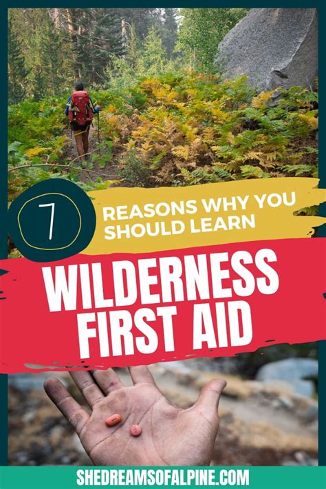 Alaska wilderness first aid