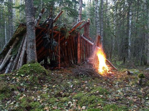 Alaska wilderness survival