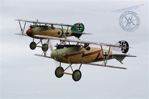 The Albatros D.III