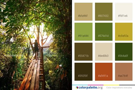 Amazon Rainforest Color Palette