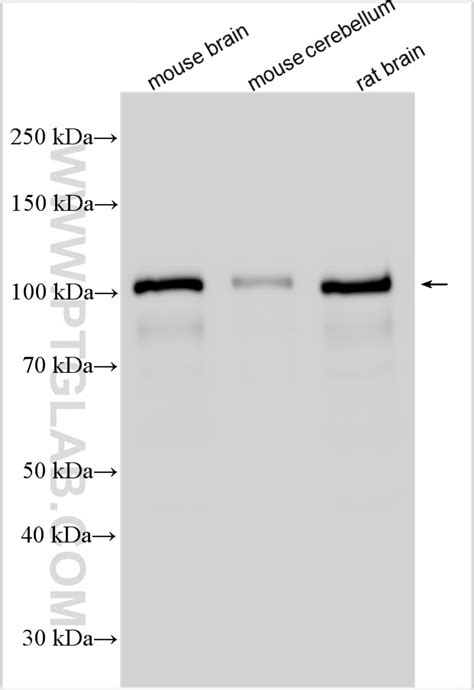 Analyzing misses can help you identify areas for improvement