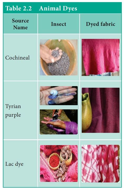 Animal-Based Dyes