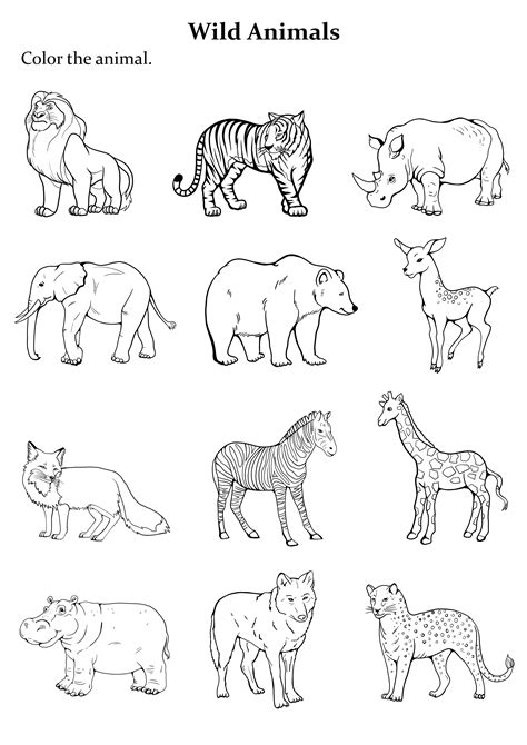 Using animal coloring pages in education