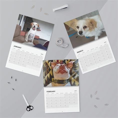 Animal lovers' calendars with beautiful images