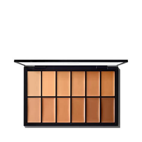 Applying MAC Foundation Palette