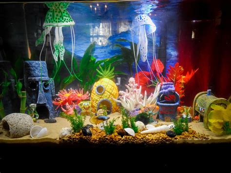 Aquarium tank decorations