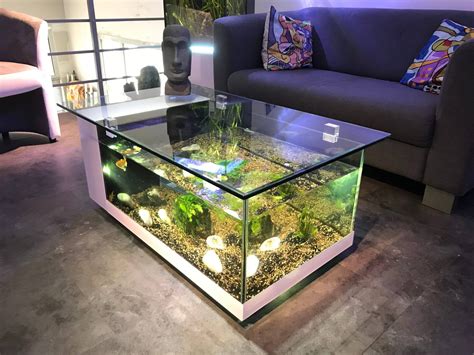 Aquarium tank designs